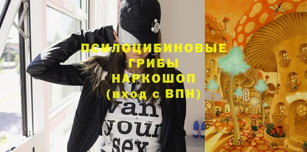 герыч Алексин