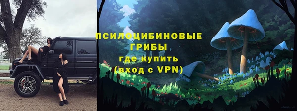 трава Абаза
